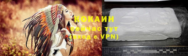 прущая мука Няндома