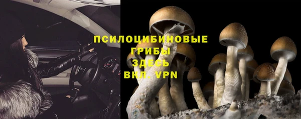 mdma Новозыбков