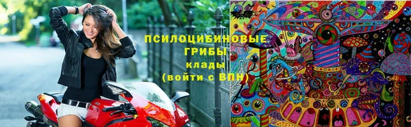 амф Новокубанск