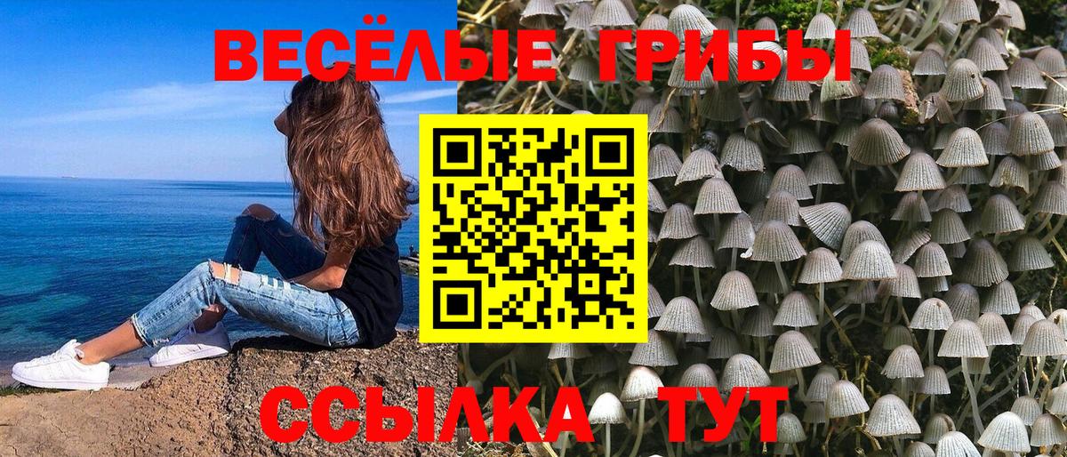 Костомукша  что такое наркотик  Вход с VPN  Галлюциногенные грибы GOLDEN TEACHER 