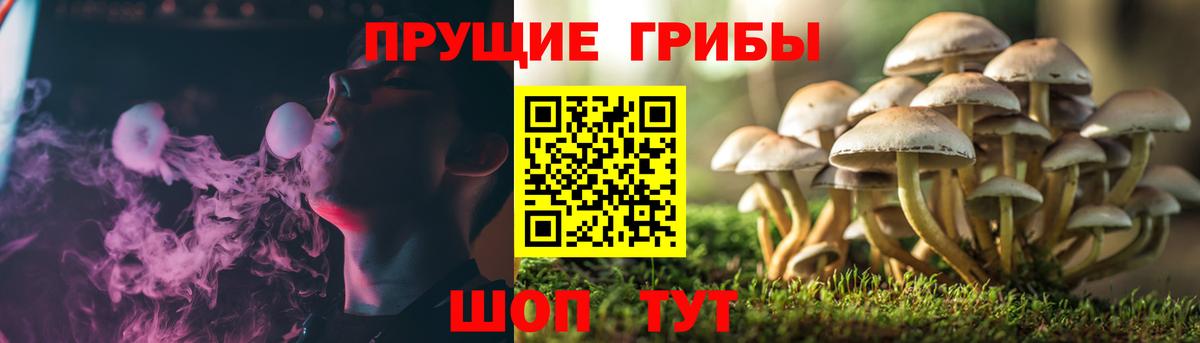 Галлюциногенные грибы Cubensis Костомукша